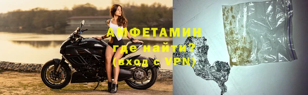 гидра Вязьма