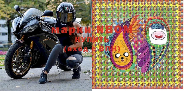 гидра Вязьма