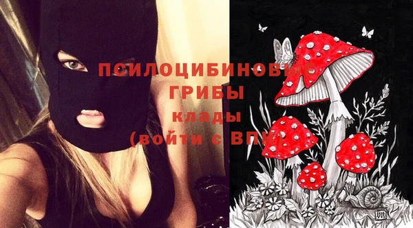 СК Вяземский