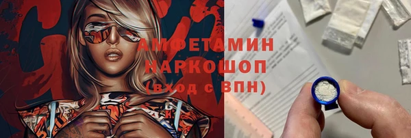 гидра Вязьма
