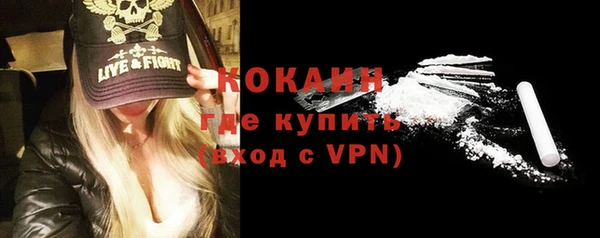 гидра Вязьма