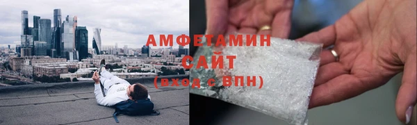 гидра Вязьма