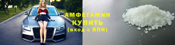 гидра Вязьма