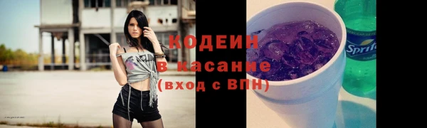 гидра Вязьма
