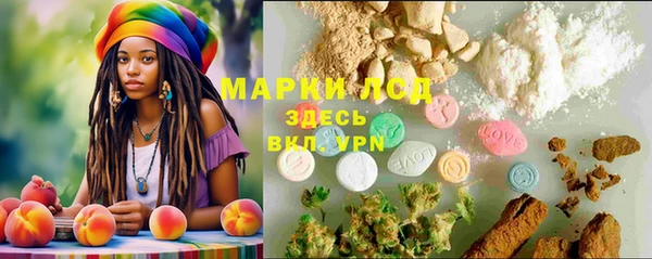 гидра Вязьма