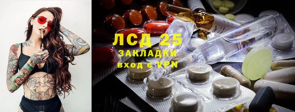 гидра Вязьма