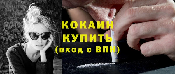 гидра Вязьма