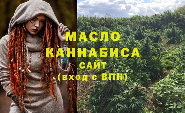 СК Вяземский